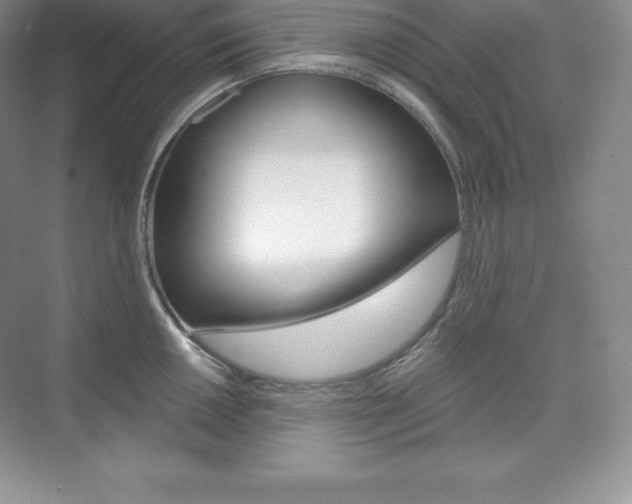 X0000073891050200608110905