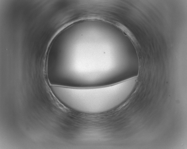 X0000073891052200608110905