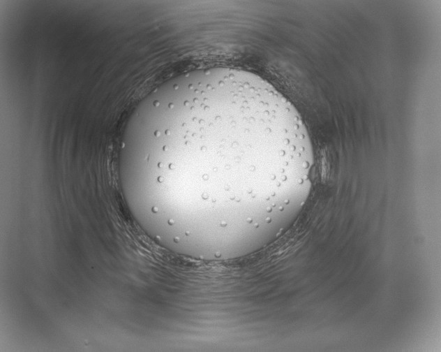 X0000073891059200608110904