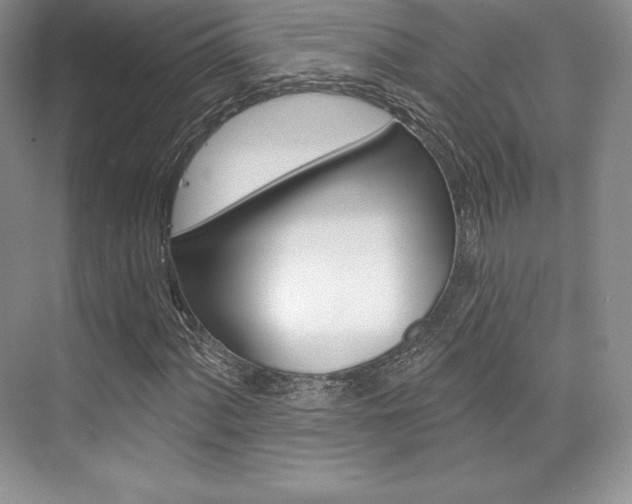 X0000073891060200608110904
