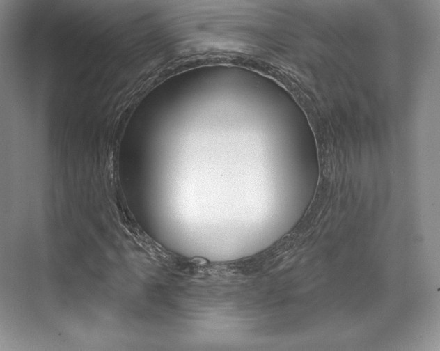 X0000073891061200608110904