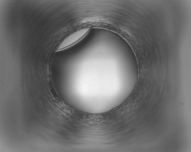 X0000073891062200608110904