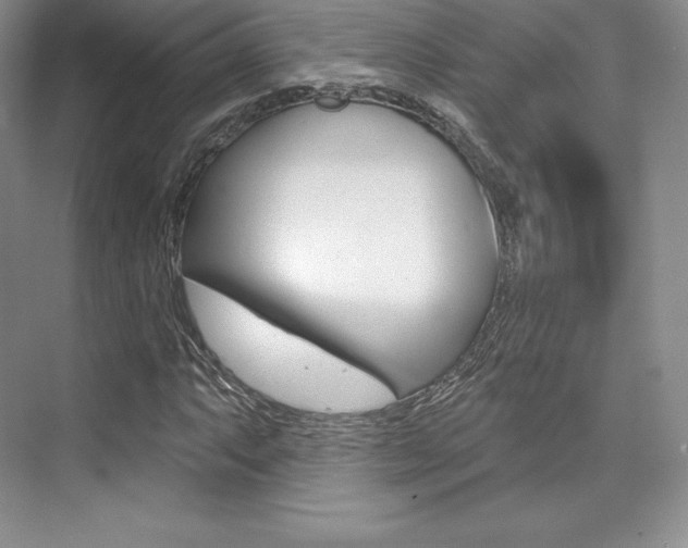 X0000073891063200608110904