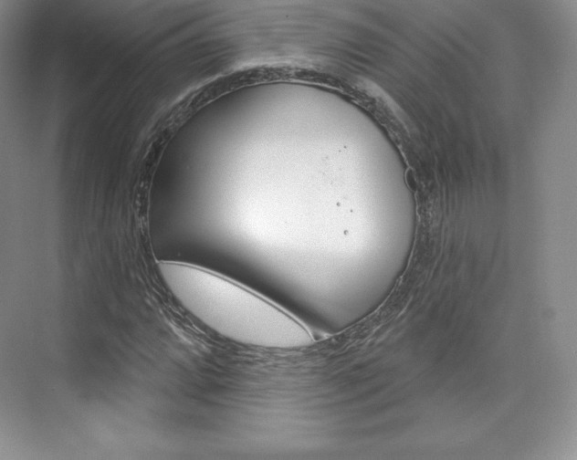 X0000073891064200608110904
