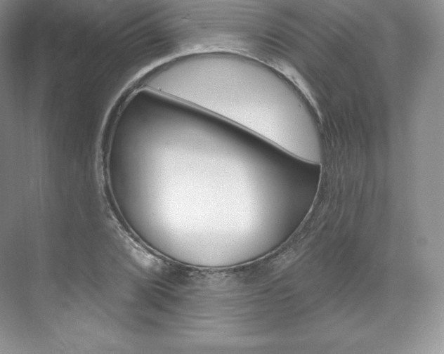 X0000073891072200608110904