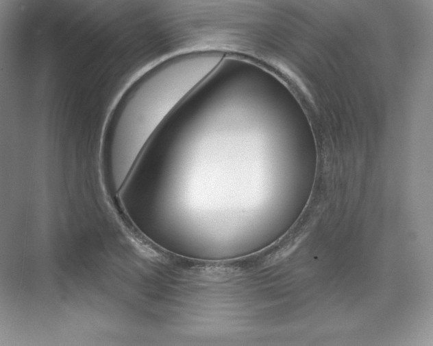X0000073891077200608110903