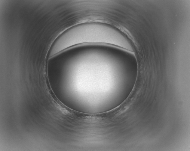 X0000073891081200608110903