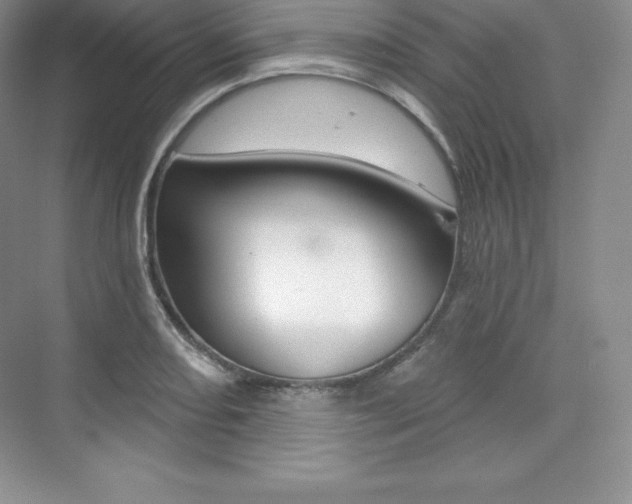 X0000073891082200608110903