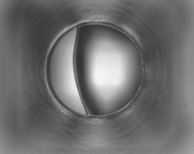 X0000073891085200608110903