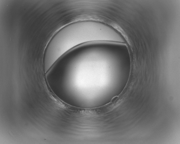 X0000073891089200608110903