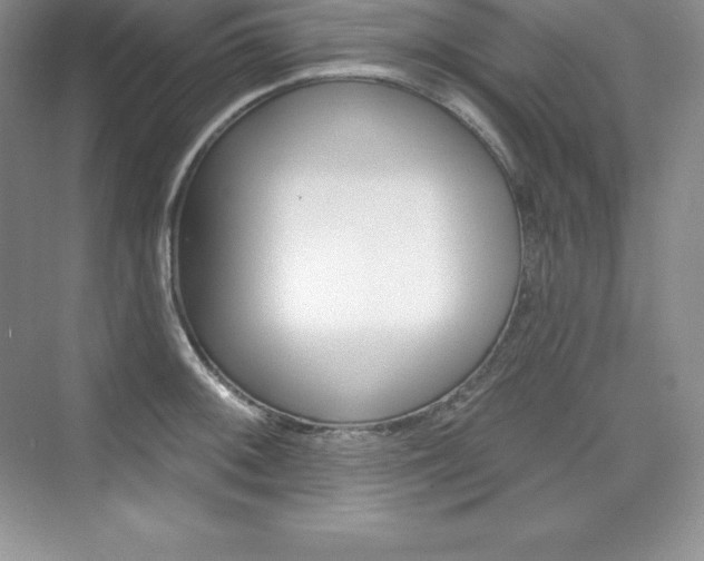 X0000073891092200608110903