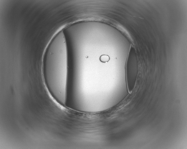 X0000073891095200608110903