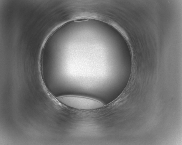 X0000073891104200608110903