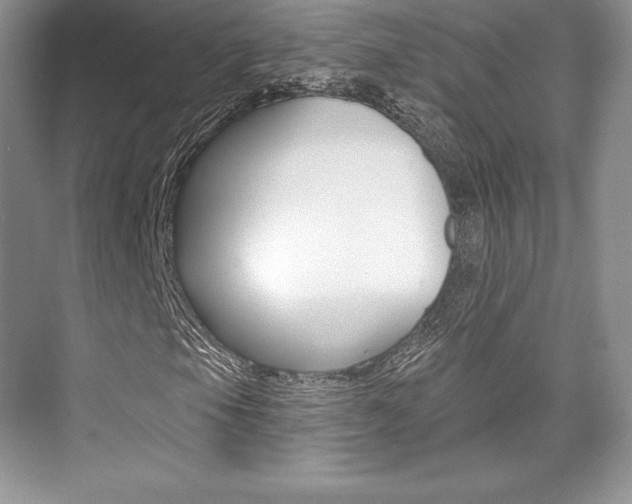 X0000073891105200608110902