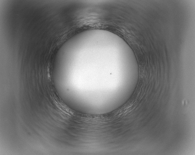 X0000073891106200608110902