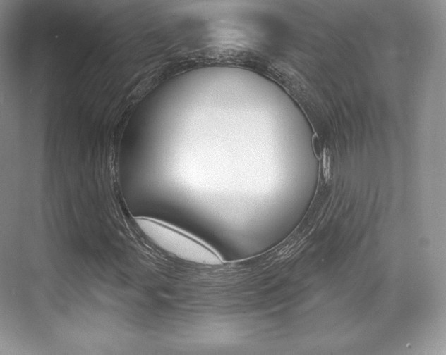 X0000073891107200608110902