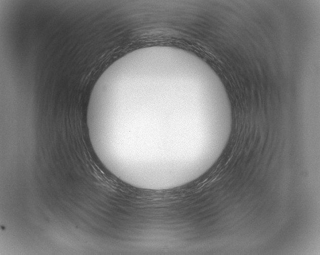 X0000073891108200608110902