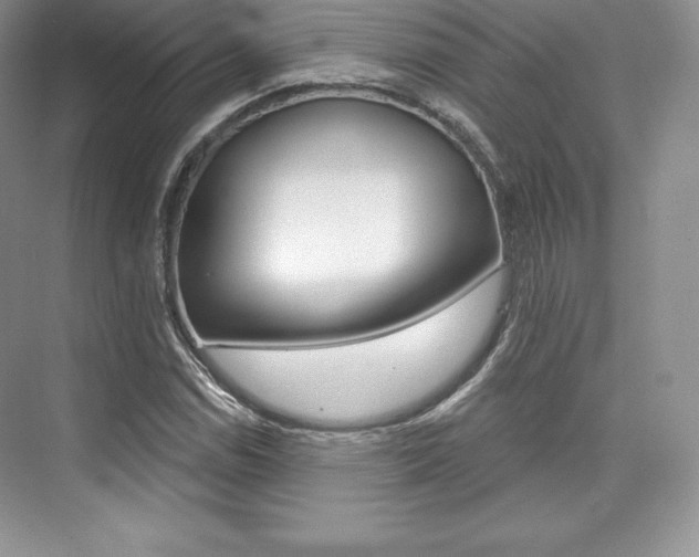 X0000073891114200608110902