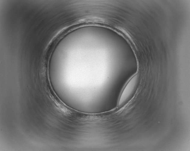 X0000073891115200608110902
