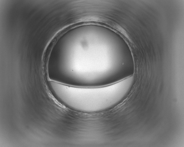 X0000073891116200608110902
