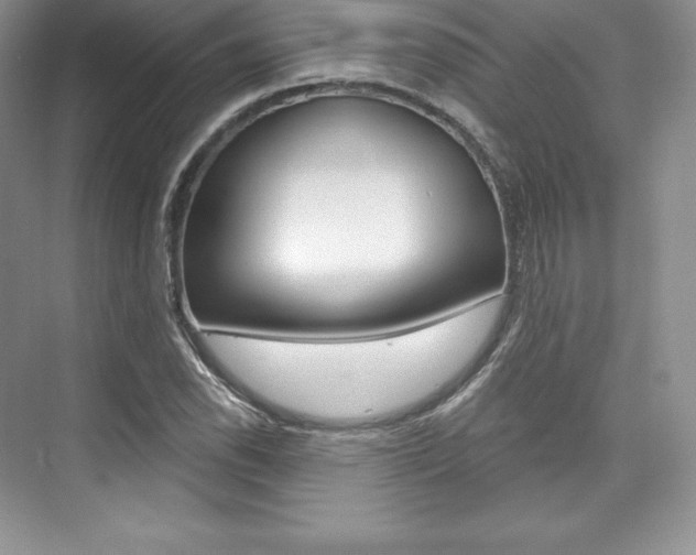 X0000073891118200608110902