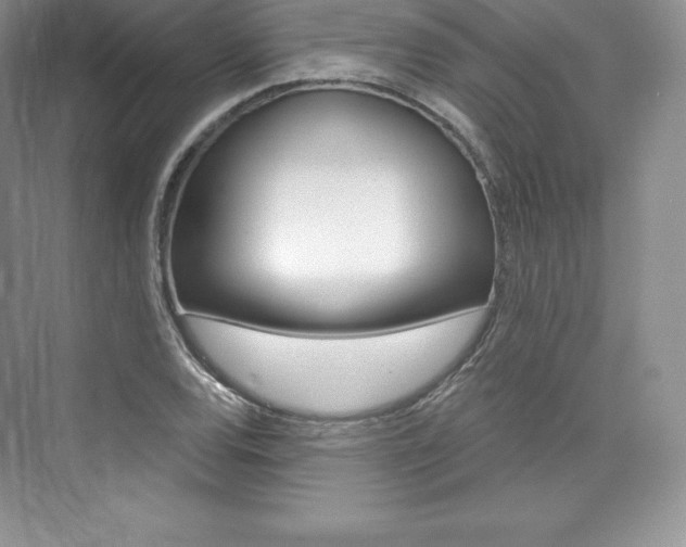 X0000073891120200608110902
