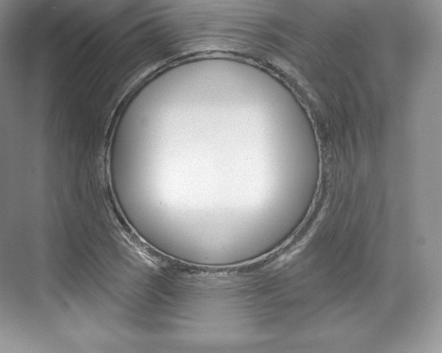 X0000073891121200608110902