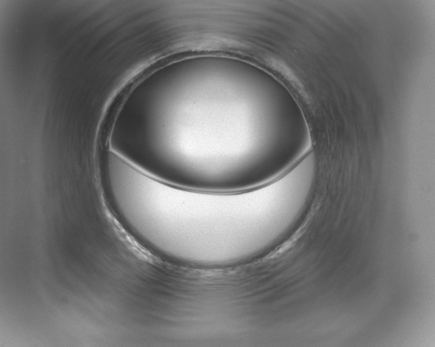 X0000073891122200608110903