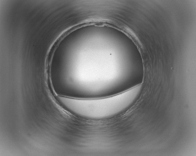 X0000073891124200608110903