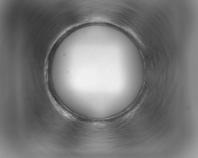 X0000073891126200608110903