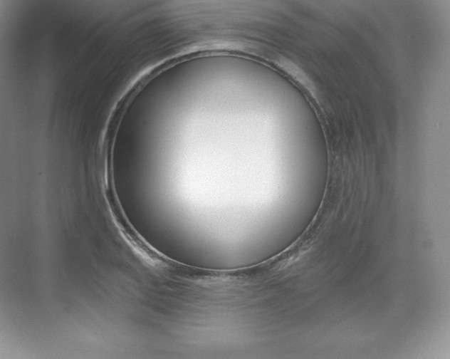 X0000073891127200608110903