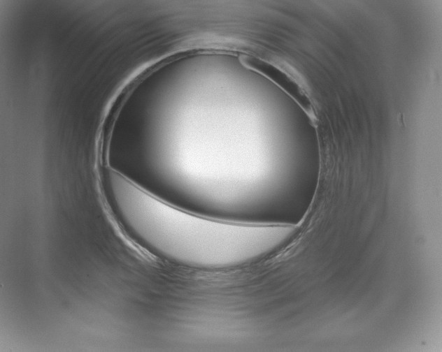 X0000073891128200608110903