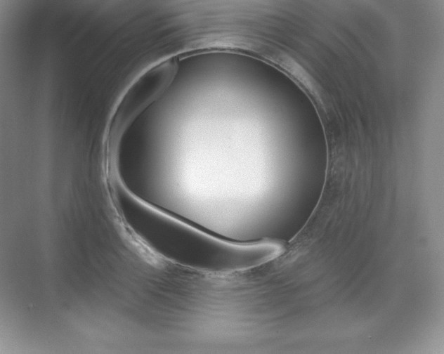X0000073891132200608110903