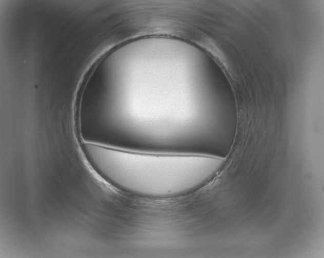 X0000073891135200608110903