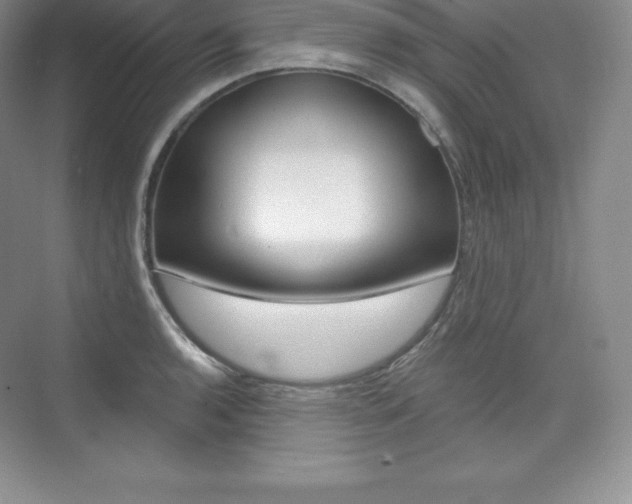 X0000073891136200608110903