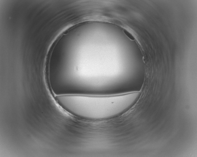 X0000073891139200608110903