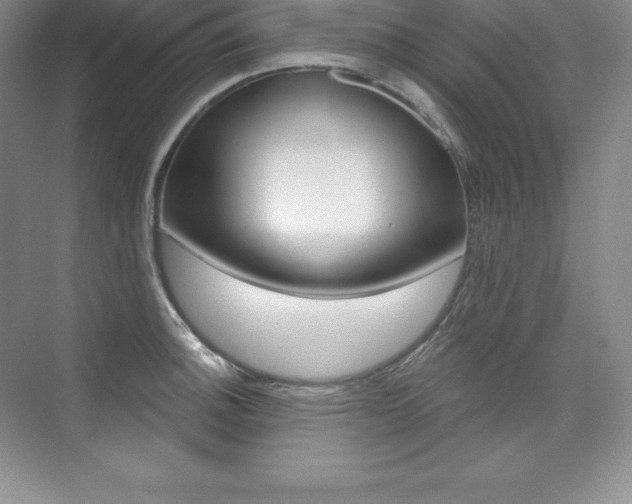 X0000073891140200608110903