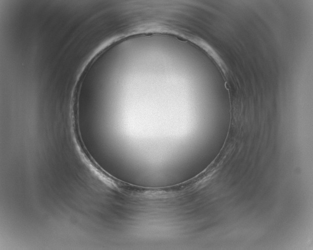 X0000073891142200608110903
