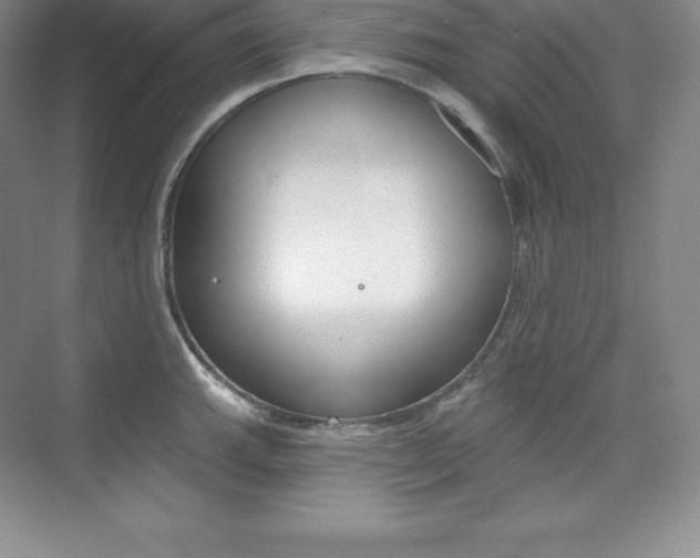 X0000073891143200608110903
