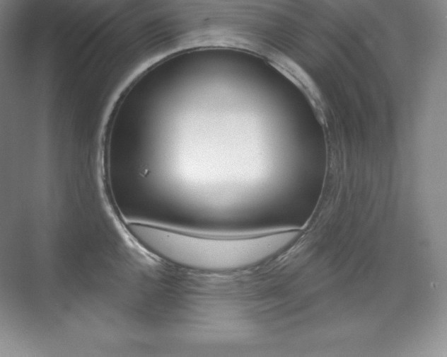 X0000073891144200608110903