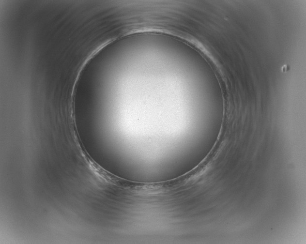 X0000073891145200608110903