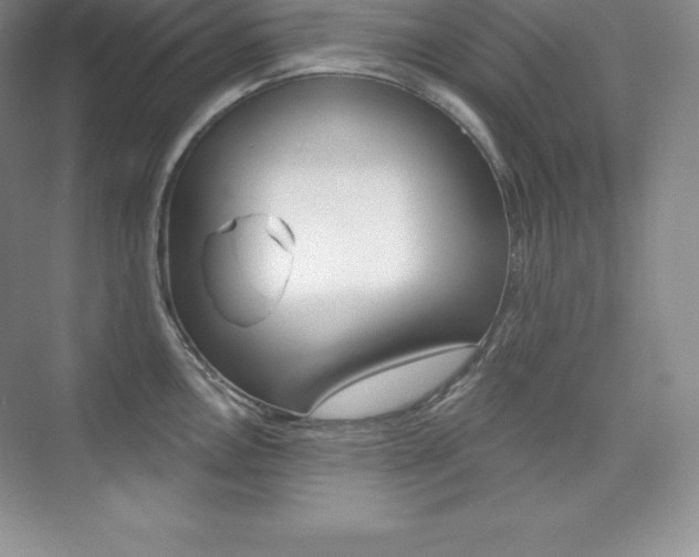 X0000073891146200608110903