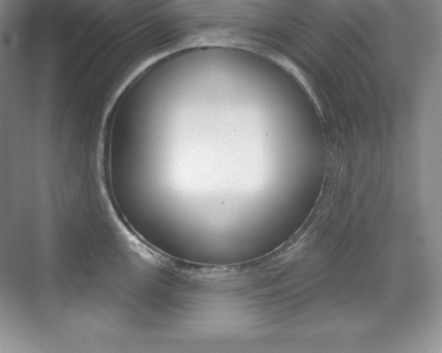 X0000073891147200608110903