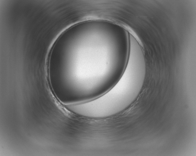 X0000073891148200608110903