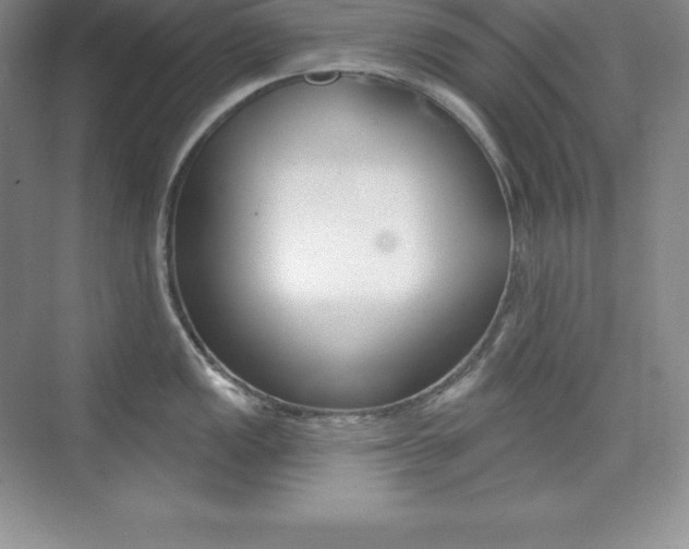 X0000073891149200608110903