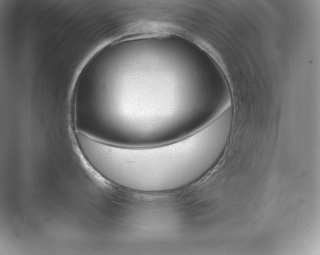 X0000073891152200608110903