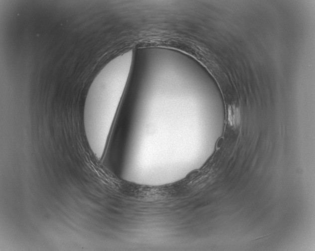 X0000073891155200608110902