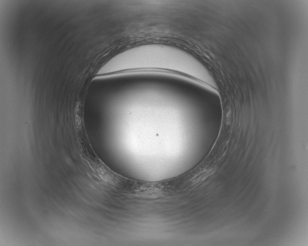 X0000073891156200608110902
