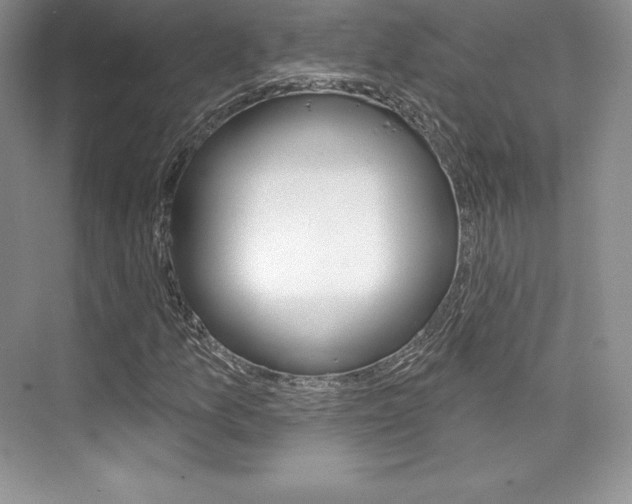 X0000073891157200608110902