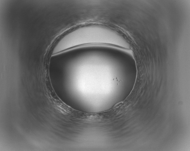 X0000073891160200608110902